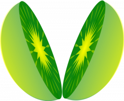 Lime Clipart | Free download best Lime Clipart on ClipArtMag.com