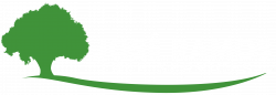 Tree Services In Houston Texas, Tree Trimming Services In Houston TX ...