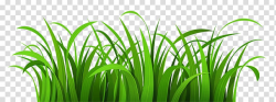 Lawn , Easter Grass transparent background PNG clipart ...