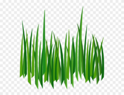 Grass Png Image, Green Grass Png Picture - Cartoon Grass ...
