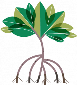 28+ Collection of Mangrove Clipart | High quality, free cliparts ...