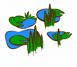 Lily Pads Swamp Marsh - Marsh Clip Art Free PNG Images ...