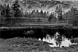Clipart - Swamp 3 Grayscale