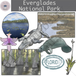 Everglades National Park Clip Art Set