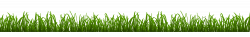 28+ Collection of Grass Drawing Png | High quality, free cliparts ...
