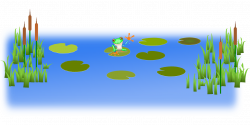 Cattails Frog Pond Swamp Water PNG Image - Picpng