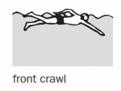 Front crawl - definition of front crawl by The Free Dictionary