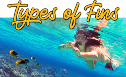 Best Swim Fin Flippers for Kids & Children - Fin Bin