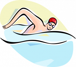Competitive Swimmer Swims in Race - Vector Image