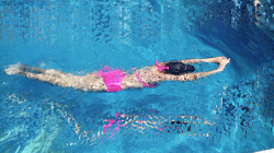 swimming freetoedit - Sticker by maciastorresalexa