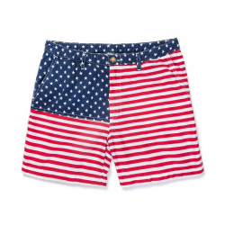 The 'MERICAS | Chubbies American Flag Shorts For Men