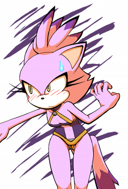 Blaze Summer Swimsuit | Sonic the Hedgehog | Know Your Meme