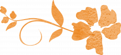 Flower Swirl Vector Orange free image
