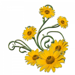 yellow flower and green swirls png by Melissa-tm on DeviantArt ...
