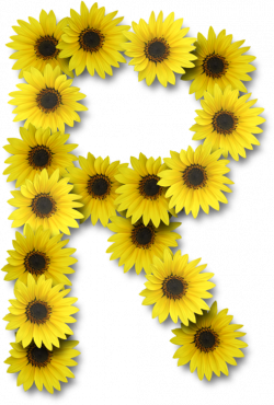 Alfabeto sunflowers .....R | Letter 