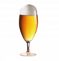 Beer Glass PNG Transparent Image 6 | PNG Transparent best stock photos