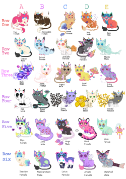 Unicat Herd (OPEN FOR BREEDING) by Smelly-Mouse on DeviantArt
