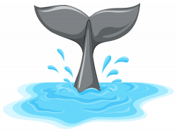 Whale Tail PNG Clipart - Best WEB Clipart