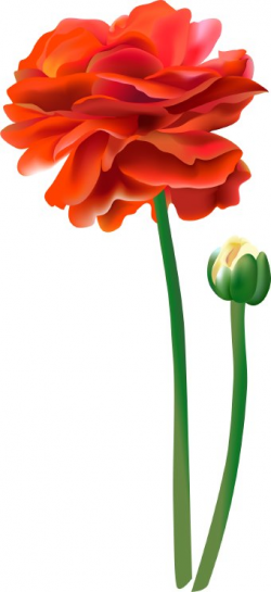 Tall red flower clipart - ClipartBarn
