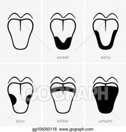 Vector Clipart - Taste areas of the human tongue. Vector ...