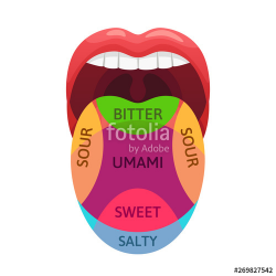 Human tongue taste zones. Sweet, bitter and salty tastes ...