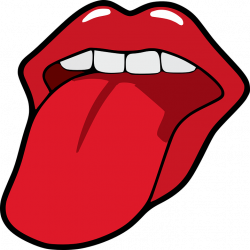 Did you know? Taste buds are not only found on your tongue ...