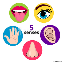 Set of five human senses: vision (eye), smell (nose ...