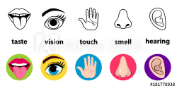 Set of five human senses: vision (eye), smell (nose ...