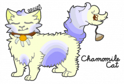 Chamomile Tea Cat by Breannosis on DeviantArt