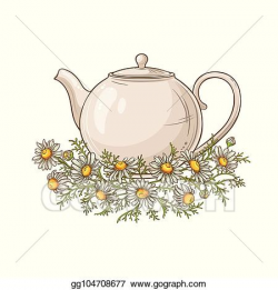 Vector Stock - Chamomile tea illustration. Stock Clip Art ...