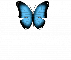 33+ Cool Fluttering Butterfly Animated
