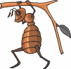 Working ants cartoon - crazywidow.info