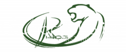 Cougar Robotics – FIRST Robotics Team 1403, Montgomery Township, NJ