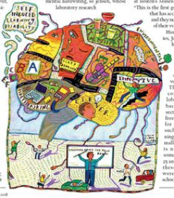 95 Best The Brain. Adolescent images | Behavior, I school ...