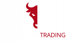 Textbook Trading Beginner's Stock Market Trading Course