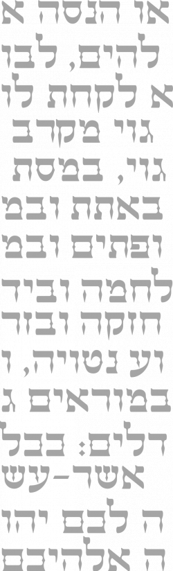Type design in Israel