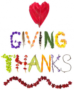 Paradise News Magazine | Gratitude & Giving Thanks- Being ...