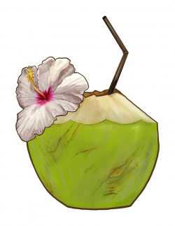 Tropical fresh young coconut illustration | free image by ...