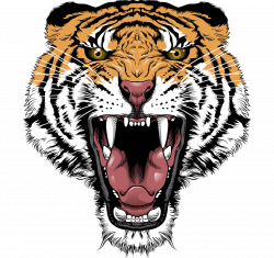 PNG Tiger Face Transparent Tiger Face.PNG Images. | PlusPNG