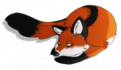 Tired Fox by tigerpawthecat on DeviantArt