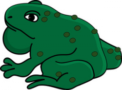 Free Toad Clipart Image 0515-1101-1913-1158 | Frog Clipart