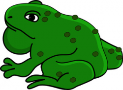 Toad Clip Art Images | Clipart Panda - Free Clipart Images