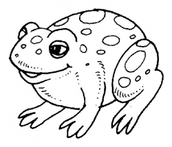 Free Black And White Toad, Download Free Clip Art, Free Clip ...