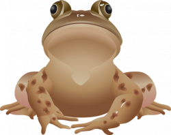 28+ Collection of Brown Frog Clipart | High quality, free cliparts ...