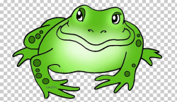 Amphibians American Bullfrog PNG, Clipart, American Bullfrog ...