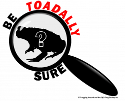 QLD Frog Society Inc. – 'Be Toadally Sure' Campaign