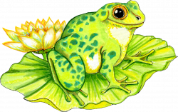 PNG Frog On Lily Pad Transparent Frog On Lily Pad.PNG Images. | PlusPNG