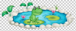 Frog Pond PNG, Clipart, Animals, Cartoon, Cartoon Pond, Clip ...