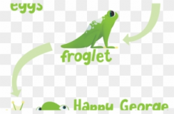 Happy George Frog Li - Toad Clipart (#1913879) - PinClipart