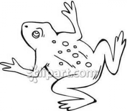 Simple Spotted Toad Outline - Royalty Free Clipart Picture